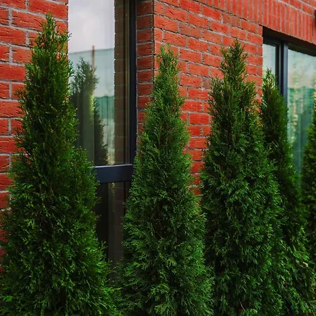 Stylish With Dedicated Workspace Apartamento